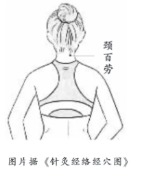 QQ图片20250113095626.png