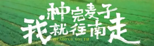 QQ图片20250117092432.png